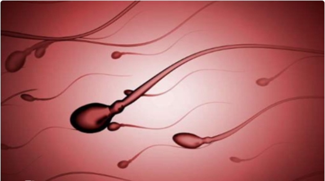  高齡做試管嬰兒應(yīng)該怎么選擇醫(yī)院？