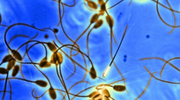 高齡做試管嬰兒流程會要更久的時間嗎？