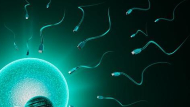 高齡做試管嬰兒碰見空囊應(yīng)該怎么辦？