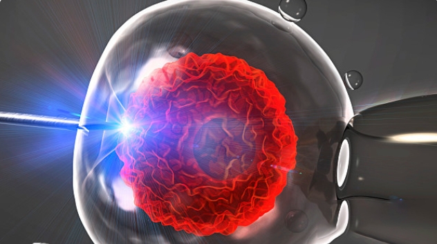 高齡做試管嬰兒懷孕成功以后要注意哪些？