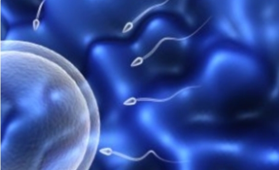 高齡做試管嬰兒可以吃什么保健品比較好？