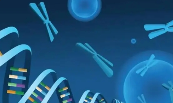 高齡準(zhǔn)備試管嬰兒促排前吃什么比較好？