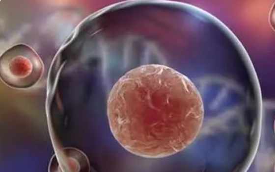 高齡做試管嬰兒適合二代技術(shù)還是三代技術(shù)？