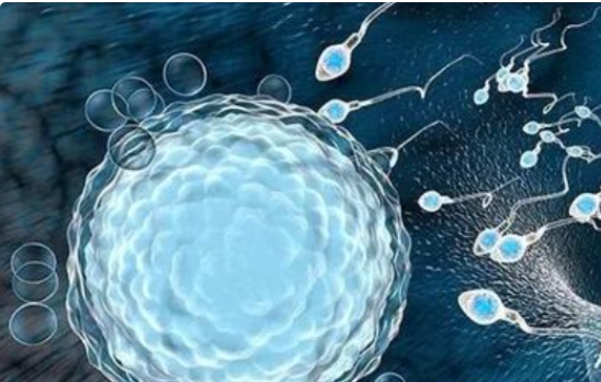 高齡做試管嬰兒在飲食上要注意哪些呢？