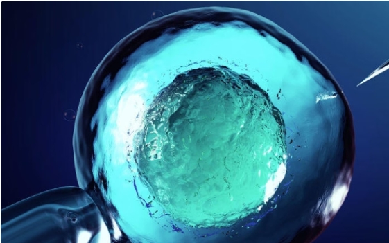 高齡做試管嬰兒大概費用要多少錢？