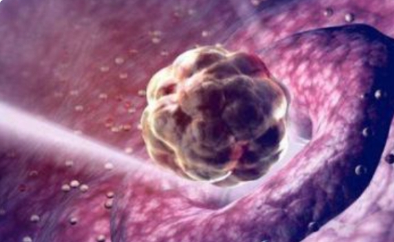 高齡女性做試管嬰兒的人多不多？有什么要注意的？