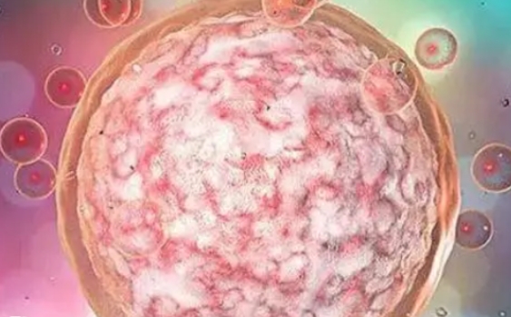 高齡女性想懷孕能不能做三代試管嬰兒？