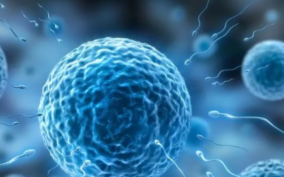 高齡女性做試管嬰兒有什么辦法可以提高卵泡質(zhì)量？