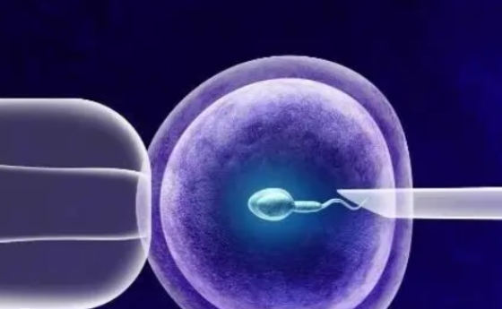 高齡試管成功率和自然懷孕幾率哪個(gè)高？