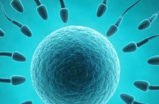 三代試管嬰兒做一次要花多少錢？成功率有多高呢？