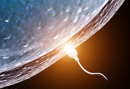 私人試管嬰兒機構(gòu)真的靠譜嗎？去那做試管有沒有風(fēng)險？