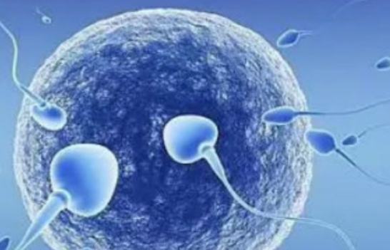 試管移植不成功的原因一般都有哪些？