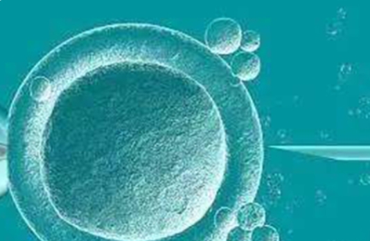 找私立機(jī)構(gòu)做三代試管要注意哪些地方？