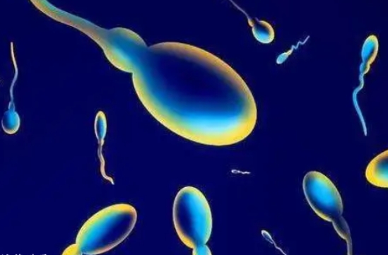 高齡做試管嬰兒選二代技術(shù)好還是三代技術(shù)好？