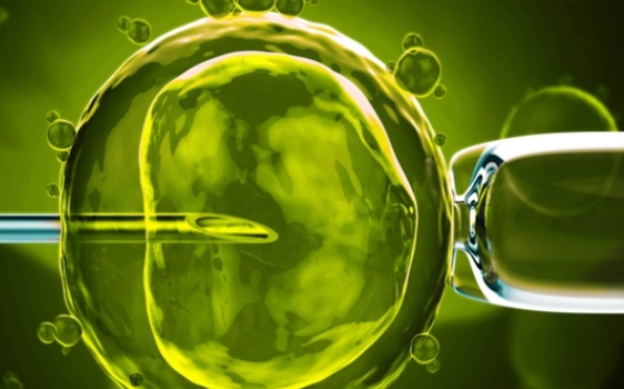 高齡女性做試管嬰兒的成功率能有多少？