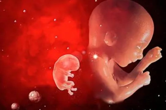 高齡做試管嬰兒選擇哪種方案比較靠譜？