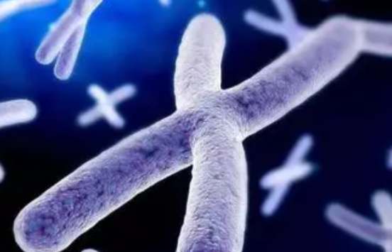 高齡女性去做試管嬰兒需要提前做哪些準(zhǔn)備？