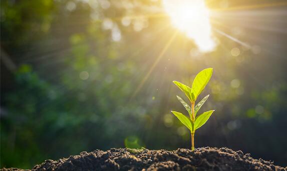 吃錯(cuò)葉酸容易致胎兒腦畸形?