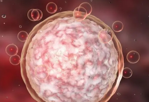 高齡女性做試管嬰兒前需要做好哪些準備？