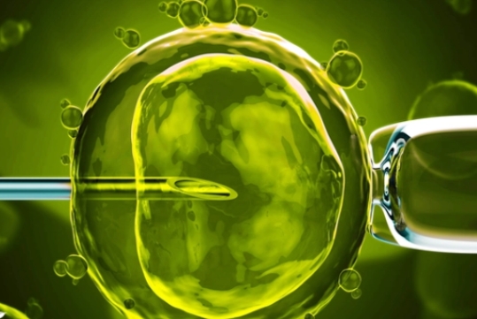 有什么方法可以提高試管嬰兒**的幾率？