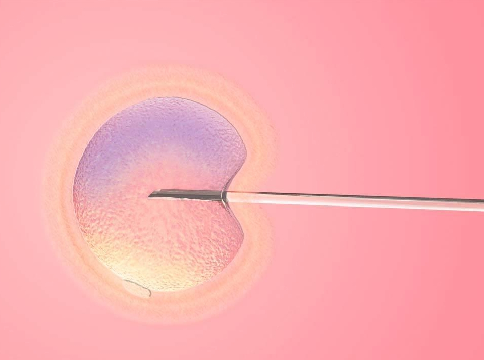 試管鮮胚移植成功表現(xiàn)有哪些？有沒(méi)有成功案例參考？