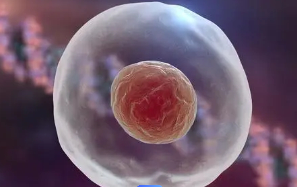 試管鮮胚移植第十天檢測不到是不是就代表失敗了？