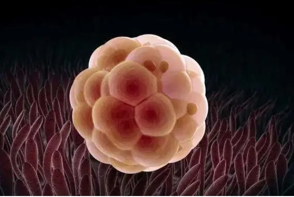 女性做產(chǎn)檢做到一半能換醫(yī)院嗎？