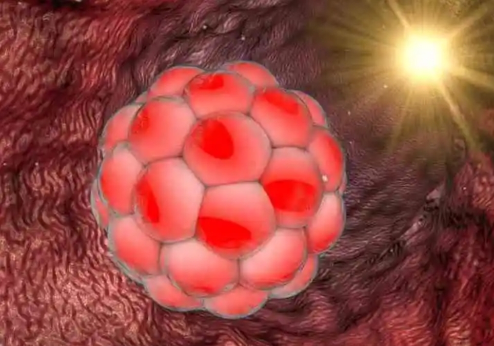 真假試管助孕機(jī)構(gòu)應(yīng)該如何辨別？