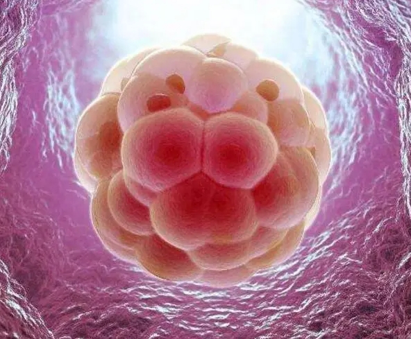 做試管嬰兒失敗了能退錢嗎？