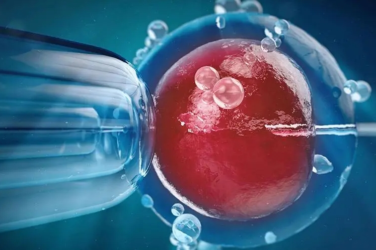 三代試管技術(shù)費(fèi)用昂貴的原因是什么？