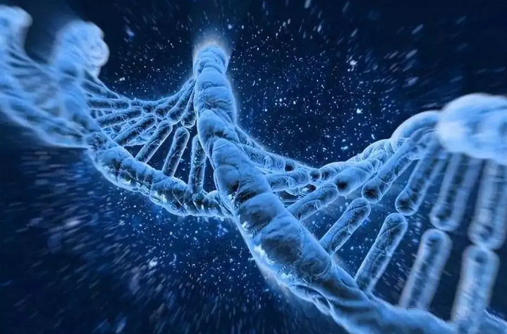 做試管嬰兒打夜針前后的注意事項是什么？