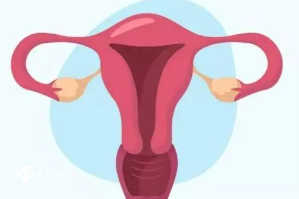 做試管嬰兒移植時(shí)如何進(jìn)行子宮定位？