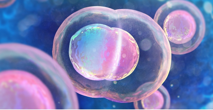 可以下午去醫(yī)院做試管嬰兒建檔嗎？