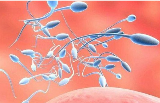 患有卵巢囊腫對凍胚移植有影響嗎？