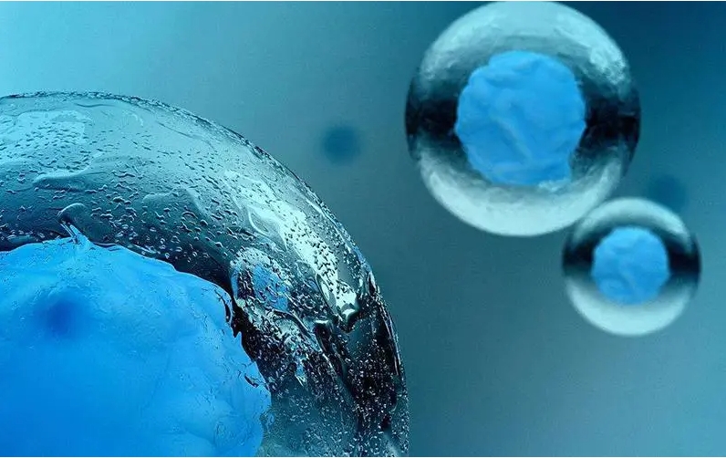 做試管嬰兒的監(jiān)測時間是什么？