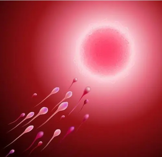 公立三甲醫(yī)院做孕酮檢查什么時候出結(jié)果？