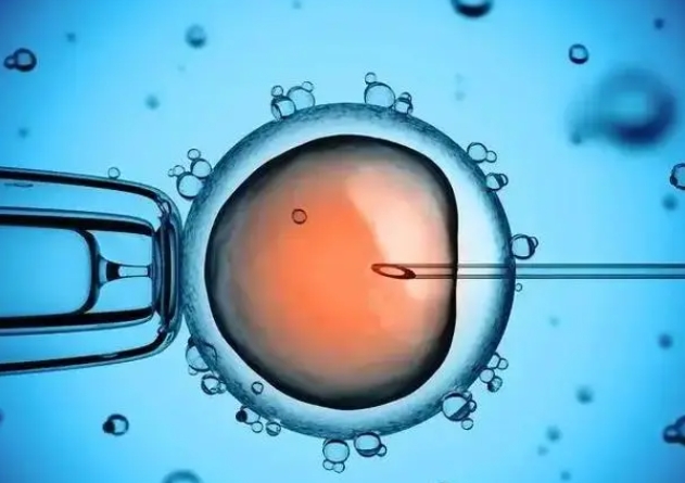 醫(yī)生水平對試管胚胎移植成功率的影響大嗎?