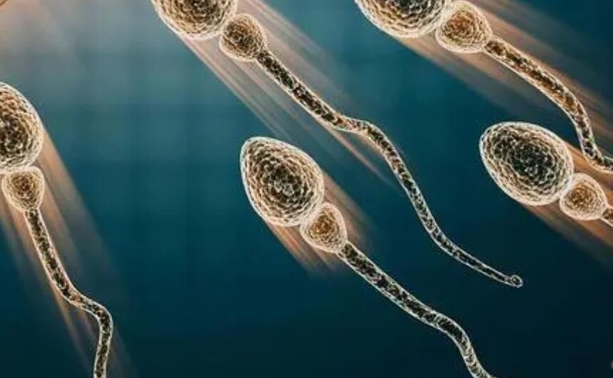 試管嬰兒凍胚移植的成功率有多高？