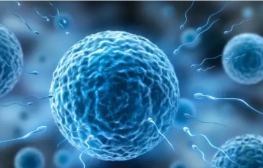 冷**子會使試管嬰兒的成功率降低嗎？