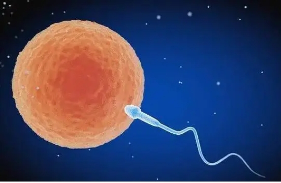 先天性子宮畸形的成因和治療方法是什么?