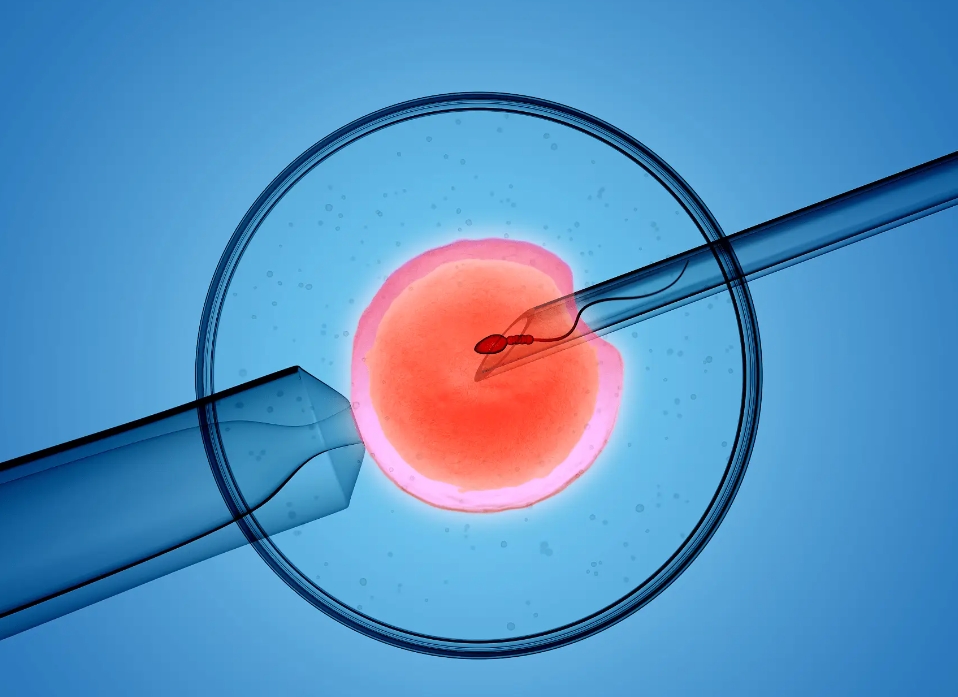 囊胚移植失敗的癥狀和原因是什么？