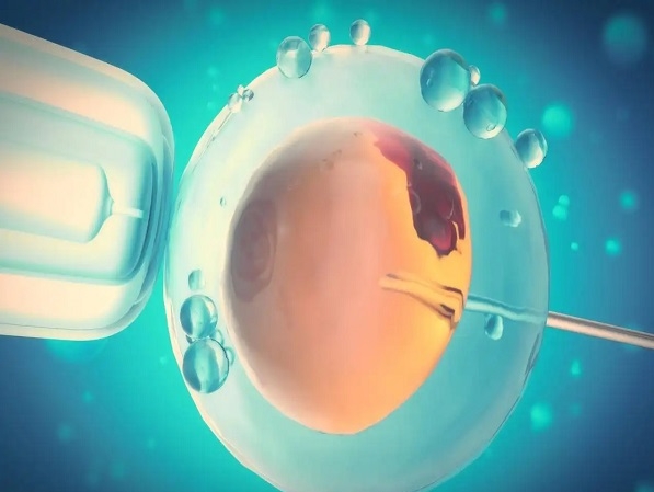 冷凍胚胎可以在醫(yī)院保存多長時(shí)間？