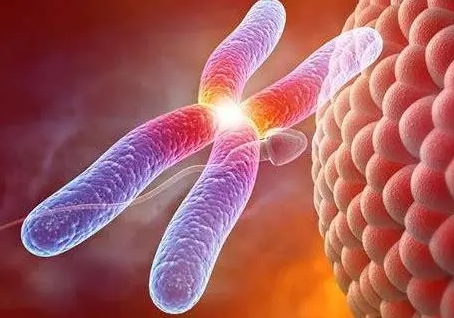  卵巢囊腫的癥狀是什么？如何診斷？