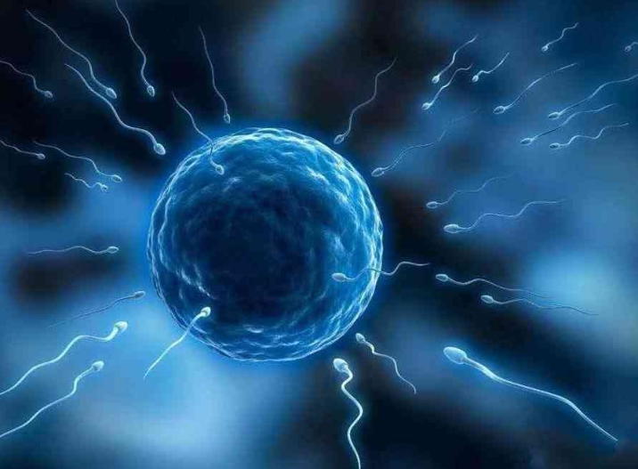 自身免疫有問題會(huì)影響試管嬰兒成功率嗎？