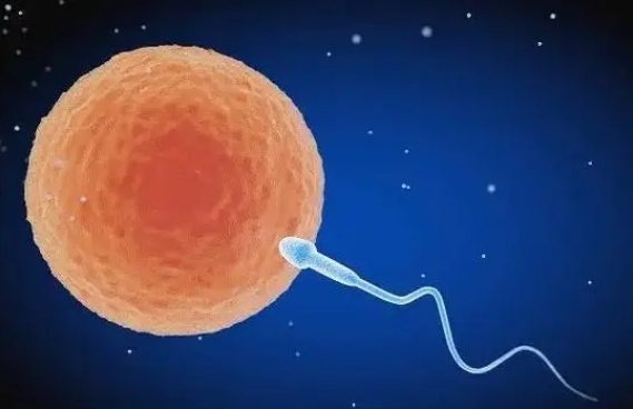  做囊胚移植后會發(fā)生生化妊娠嗎？