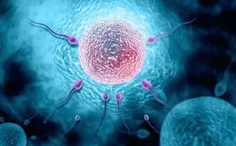 在公立醫(yī)院做試管嬰兒建檔要交錢嗎？