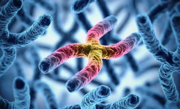  囊胚移植后出血是移植失敗的意思嗎？