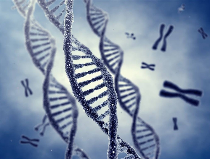 做三代試管嬰兒可以用冷凍囊胚嗎？