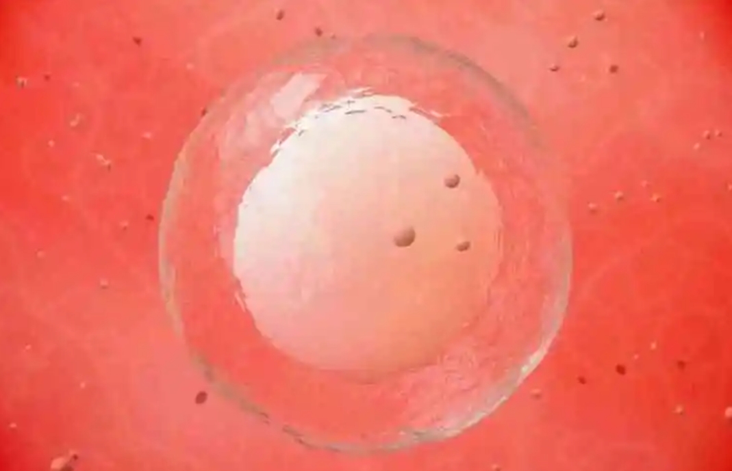 囊胚移植時雪諾酮斷藥一天會產(chǎn)生危害嗎？