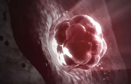 哪些人群不適合做試管嬰兒？